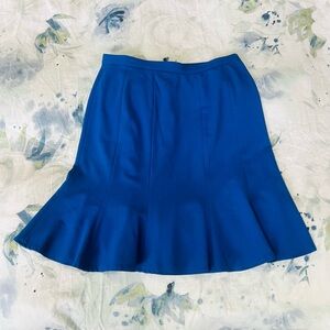 Elegant Blue Women's Skirt